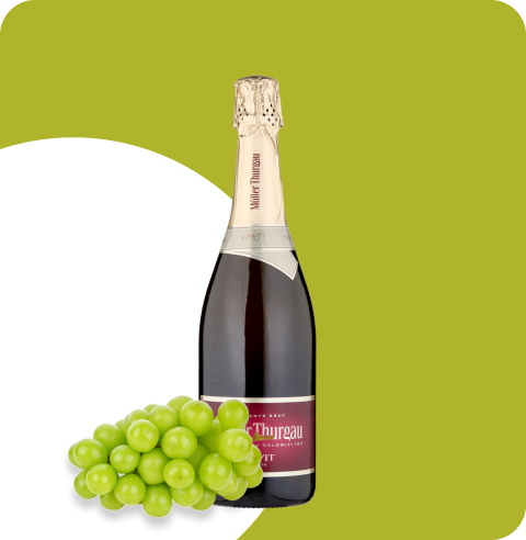 Spumante Metodo Charmat