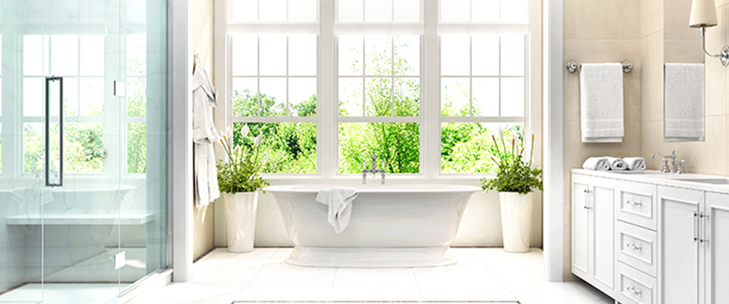 Specialisti del pulito