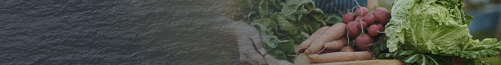 Carrefour Il Mercato