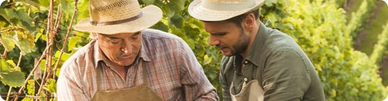 SOSTEGNO ALLE PICCOLE E MEDIE IMPRESE