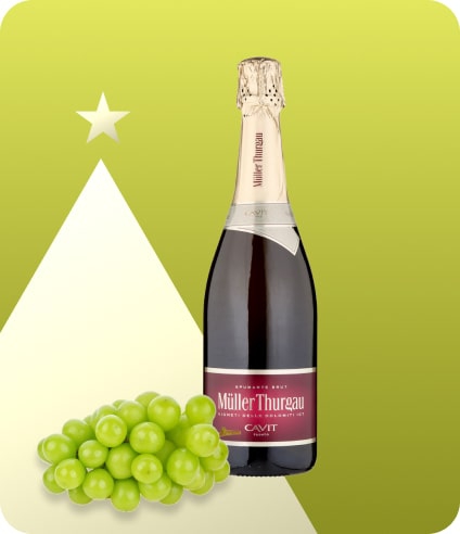 Spumante Metodo Charmat