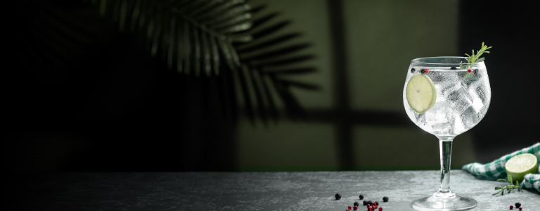 Realizza un Gin Tonic<br>perfetto
