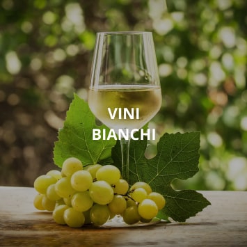 Vini Bianchi