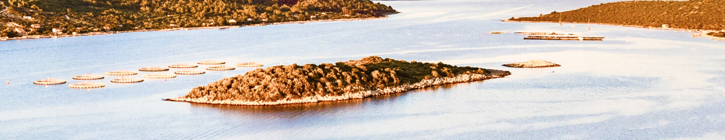 Settimane Pesca Sostenibile