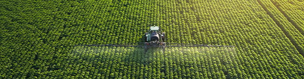 Dal produttore al consumatore