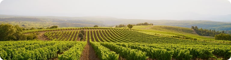 PRODOTTI TIPICI ITALIANI TERRE D'ITALIA