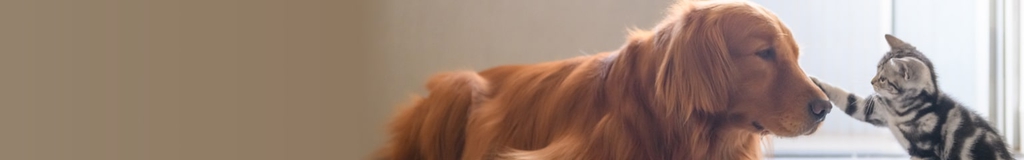 Cibo, snack e accessori<br>per animali