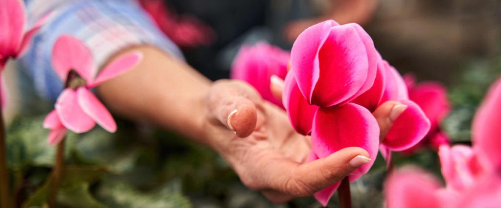 Giornata internazionale contro la violenza sulle donne