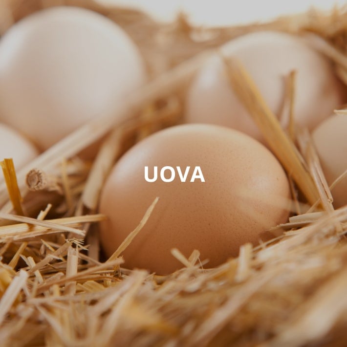 Uova BIO