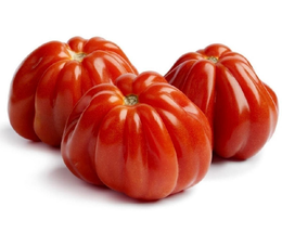 Pomodori Cuore di Bue Bio