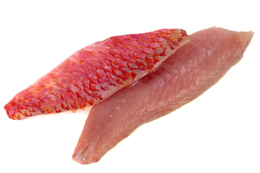 Filetto di Cefalo