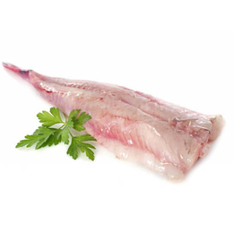 Coda di Rana Pescatrice Atlantica