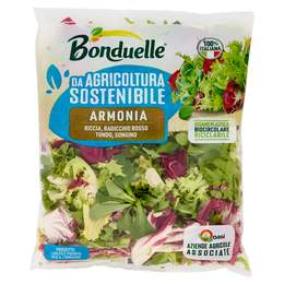 Bonduelle Armonia 170 g