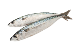 Sardine da Banco