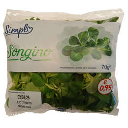 Simpl Songino