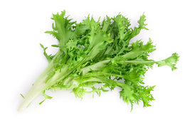 Insalata Cicoria Milano Sfusa