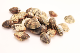 Lupini da Banco 500g Pescati Italia