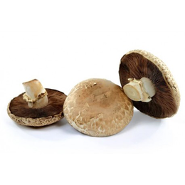 Funghi Portobello Tagliati Filiera Qualità Carrefour