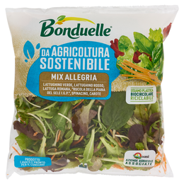 Bonduelle Mix Allegria 125 g