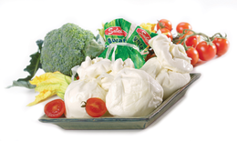 Burrata