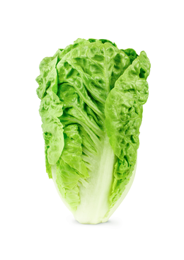 Insalata Lattuga Romana 200 g