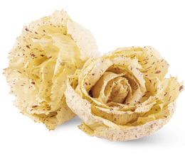 Radicchio Variegato Sfuso 500 g