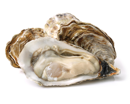 Ostriche Spéciales de Bretagne Filiera Qualità Carrefour