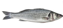 Branzino Croazia Allevato nel Mar Adriatico 600/800
