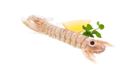 Canocchie 300 g
