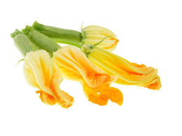 Fiori di Zucca 100 g
