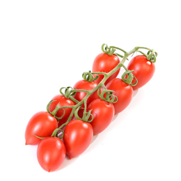 Pomodori Plum