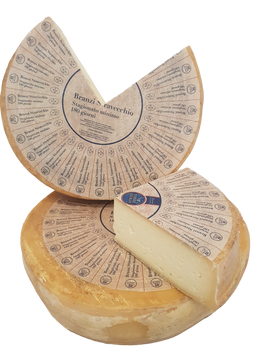 Formaggio Branzi
