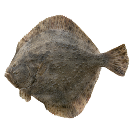 Rombo Chiodato 1 kg
