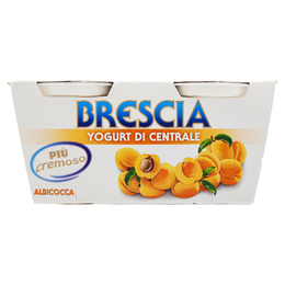 Brescia Yogurt di Centrale Albicocca 2 x 125 g