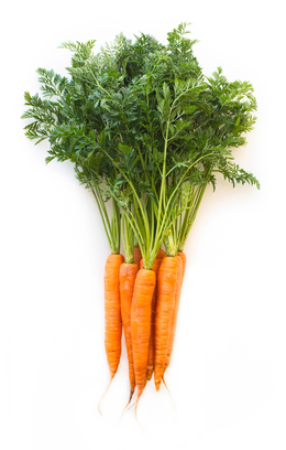 Carote Sacchetto 1 Kg