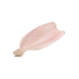 Filetto di Sogliola