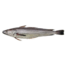 Nasello 300 g