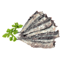 Acciughe Salate