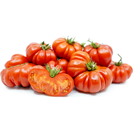 Pomodoro Costoluto Sfuso