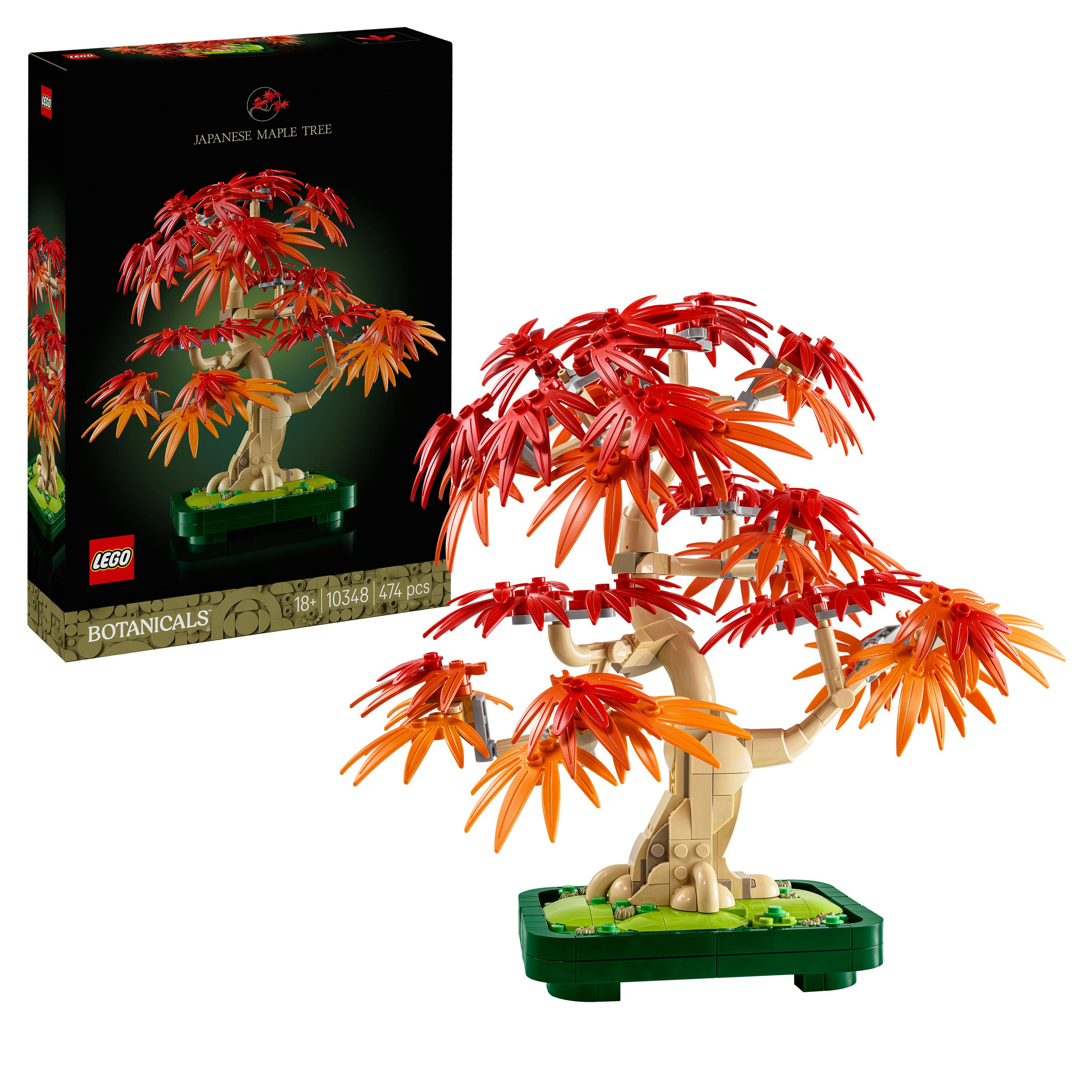 LEGO Botanicals Bonsai di acero rosso giapponese