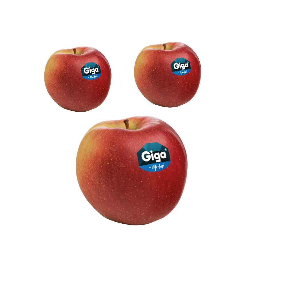 Mele Giga 900 g