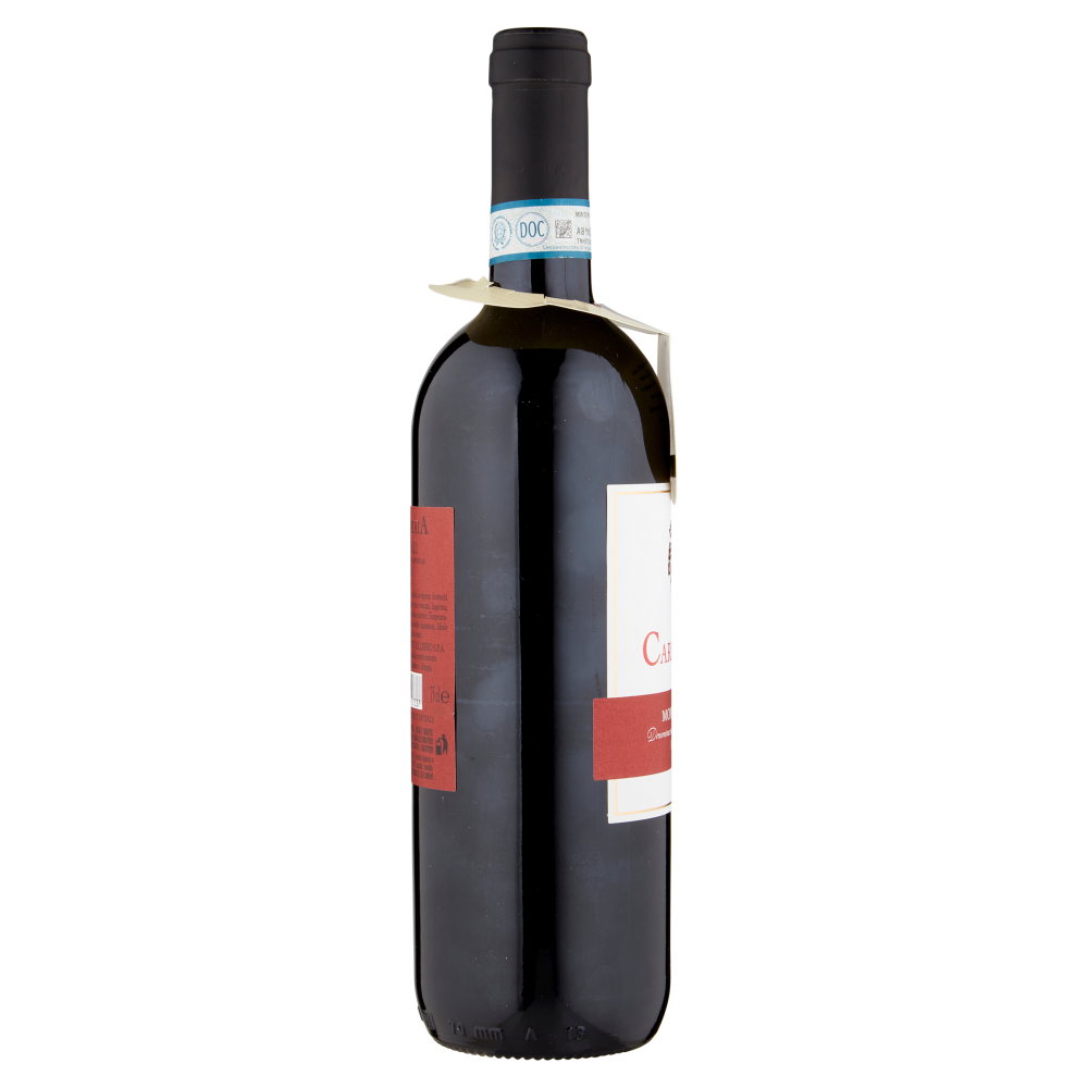 Terre d'Italia Carbonaia Montefalco DOC Rosso 75 cl