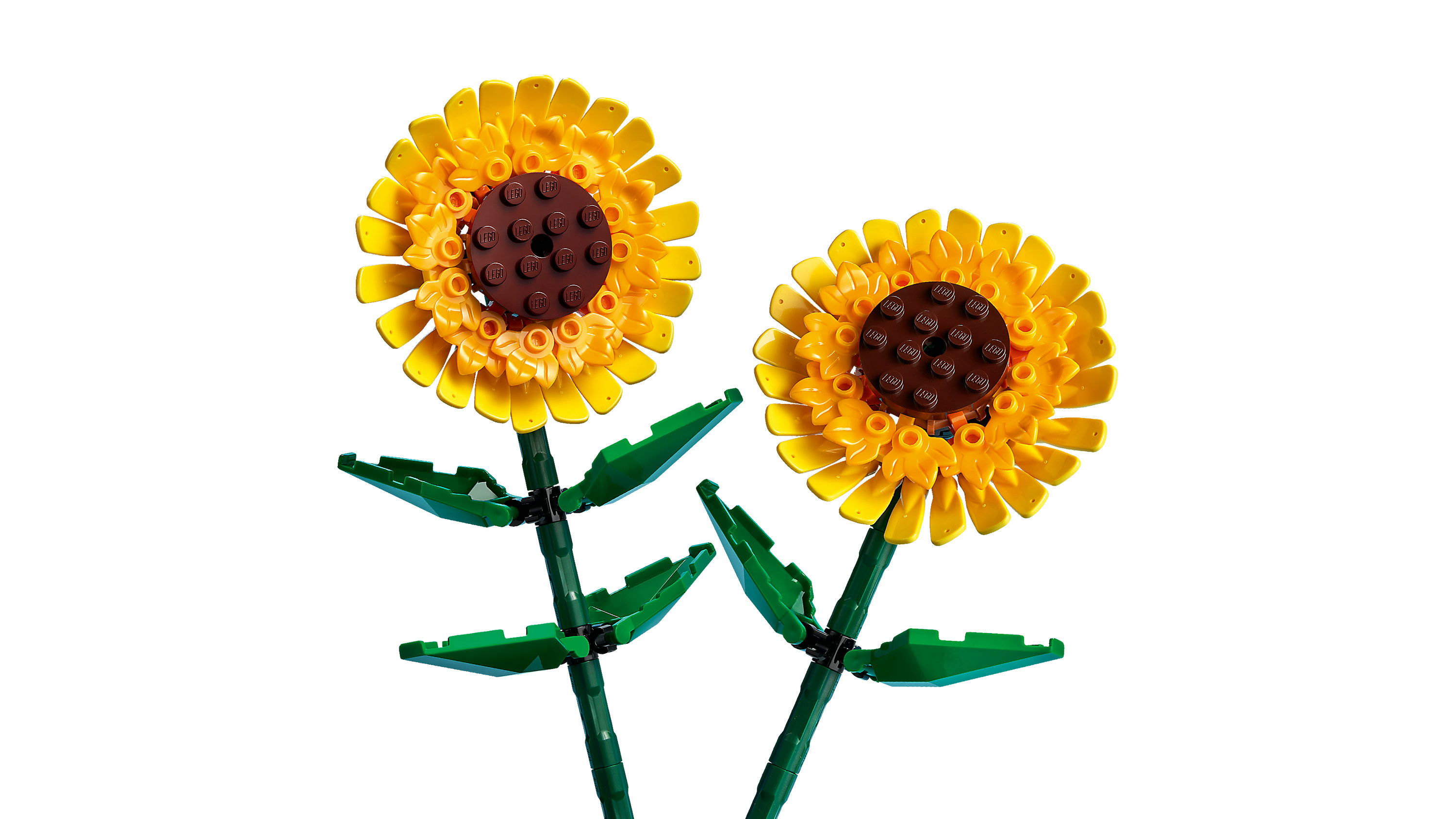 LEGO Botanicals 40524 Girasoli, Fiori Finti per Bambini 8+ Compatibile con Bouquet Fiori Artificiali, Regalo Ragazza o Ragazzo