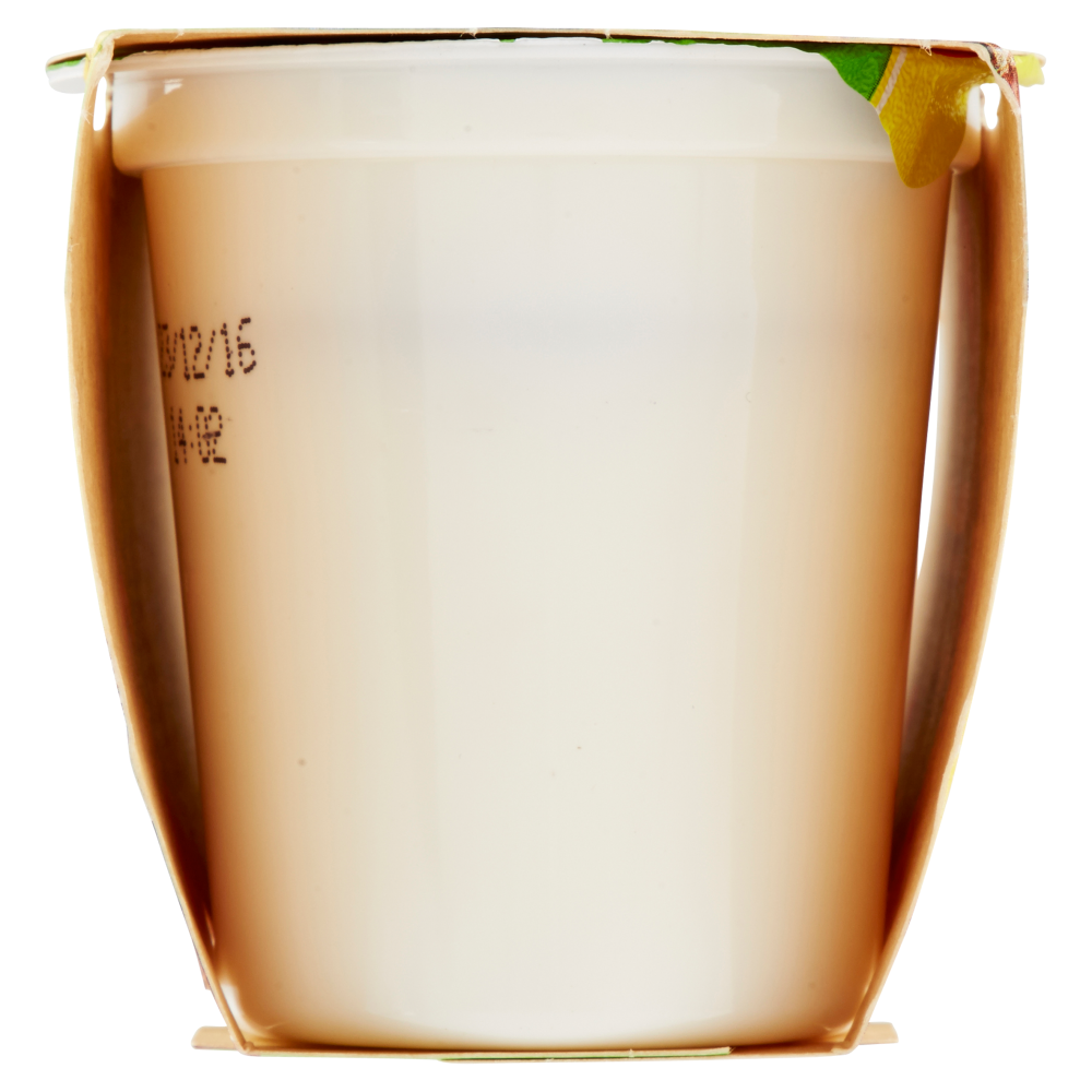 Centrale del Latte di Torino Tapporosso Yogurt Magro Ananas in pezzi 2 x 125 g