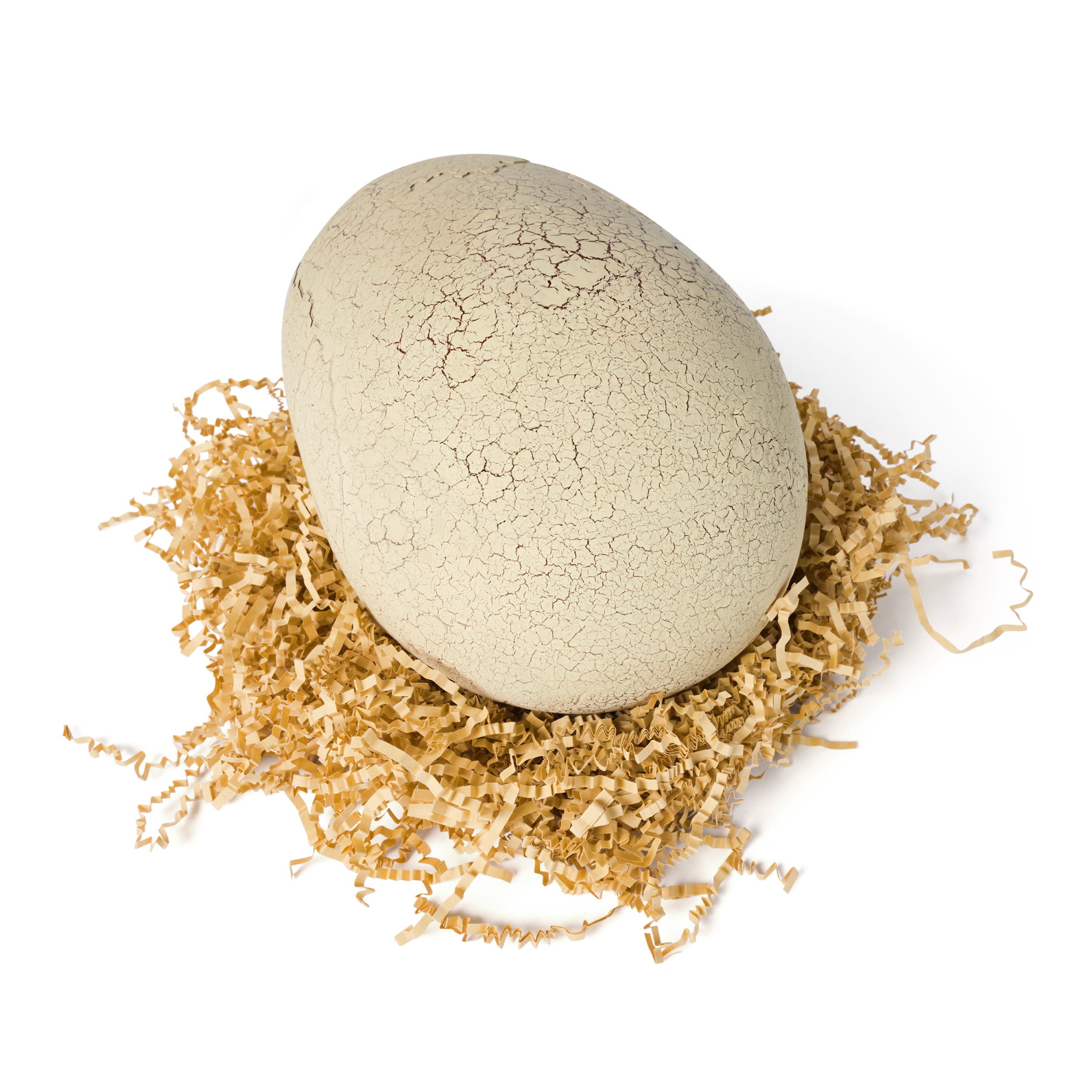 Jurassic World Primal Hatch, Dinosauro Interattivo con Uovo, Fai Schiudere e Addestra il Tuo Cucciolo di Dinosauro con Oltre 100 Suoni e Reazioni, Giocattolo per Bambini e Bambine, 5+ Anni