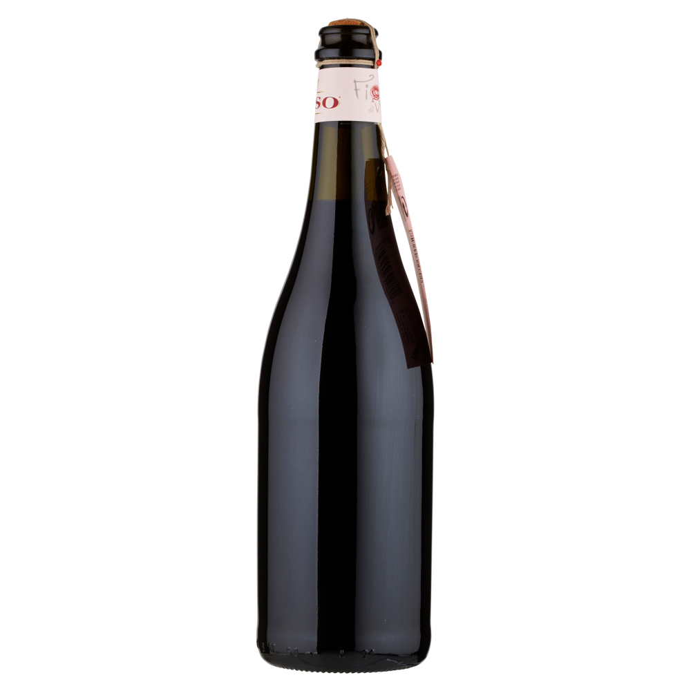 Piemonte DOC Barbera - Fiocco di Vite - 75 cl