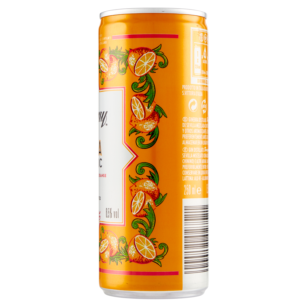 Tanqueray Flor De Sevilla Gin & Tonic 250 ml