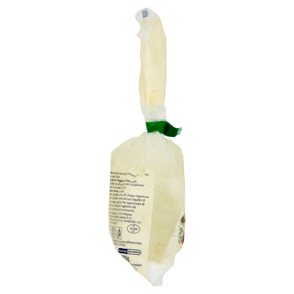 Terre d'Italia Mozzarella di Gioia del Colle DOP Treccia di latte vaccino 200 g