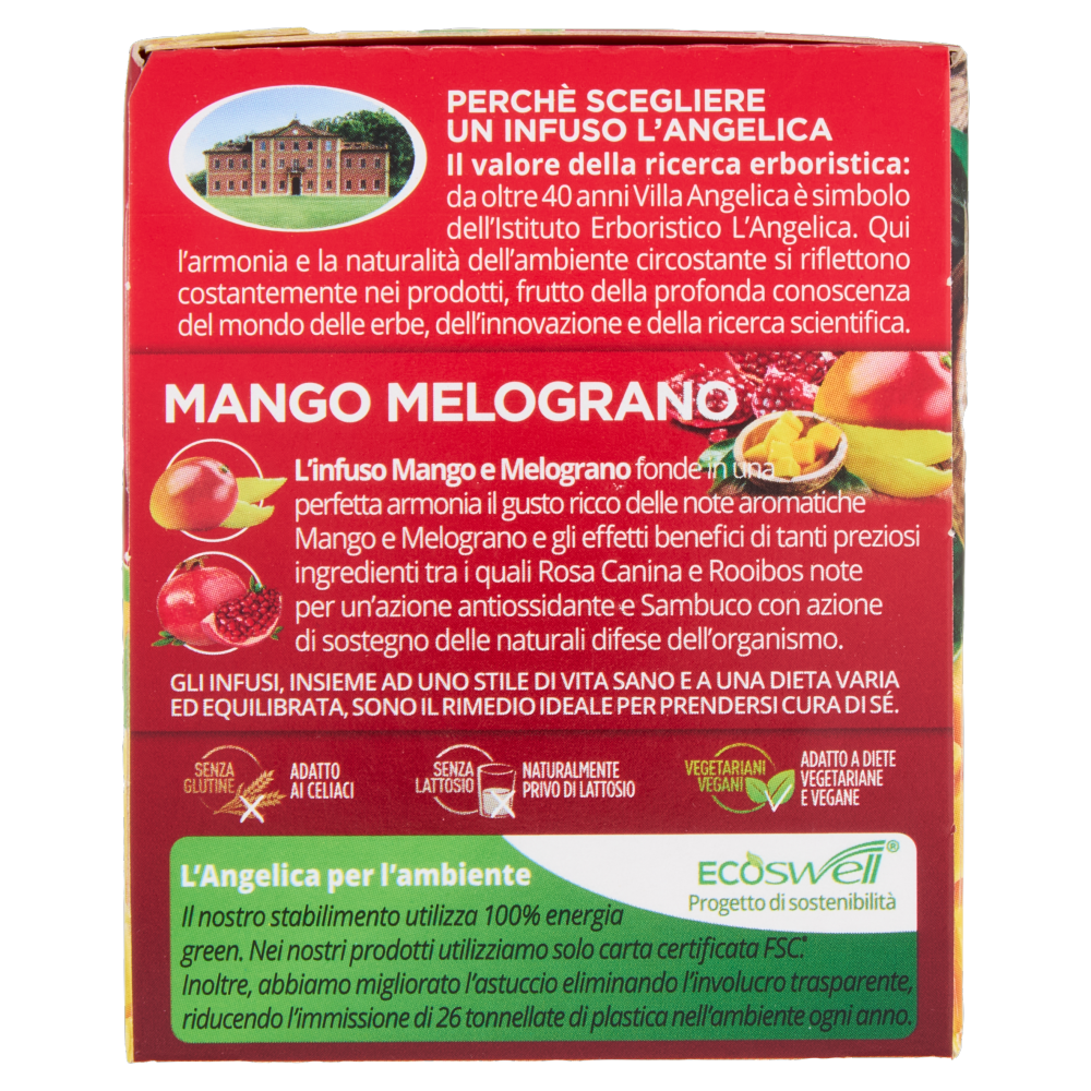 L'Angelica Passione di Frutta Mango Melograno 15 Filtri 27,0 g