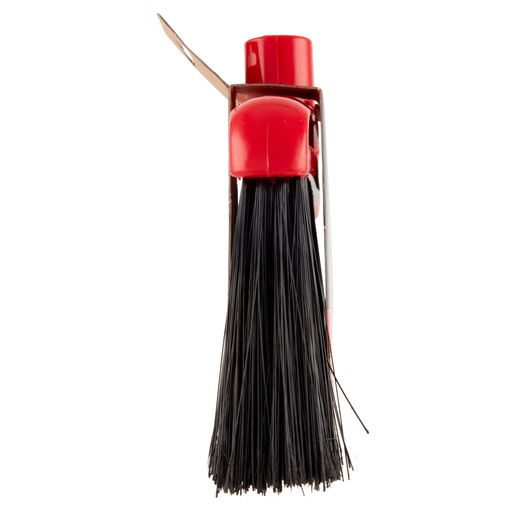 Carrefour Scopa Alta per interni / per esterni